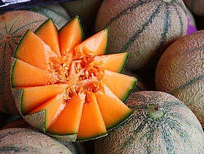 Melon. - Agrandir l'image (fenêtre modale)
