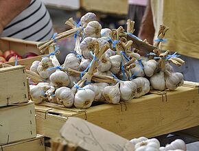 Ail sur le Marché d'Eauze, Gers. - Agrandir l'image (fenêtre modale)