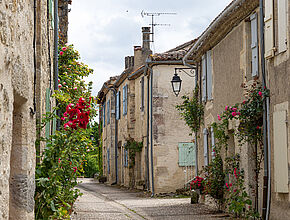 Village de Castera-Lectourois, Gers. - Agrandir l'image (fenêtre modale)